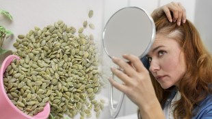 pumpkin-seeds-hair-loss
