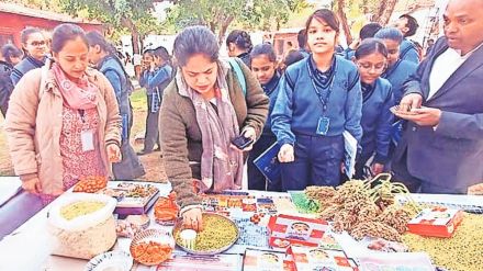 finest solapur hurda get spontaneous response in festival at rajghat delhi finest solapur hurda get spontaneous response in festival at rajghat delhi