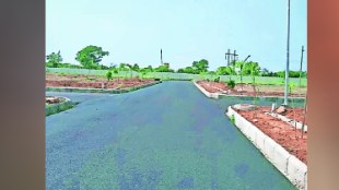 Eggplant Shelu Titwala towards rapid development 