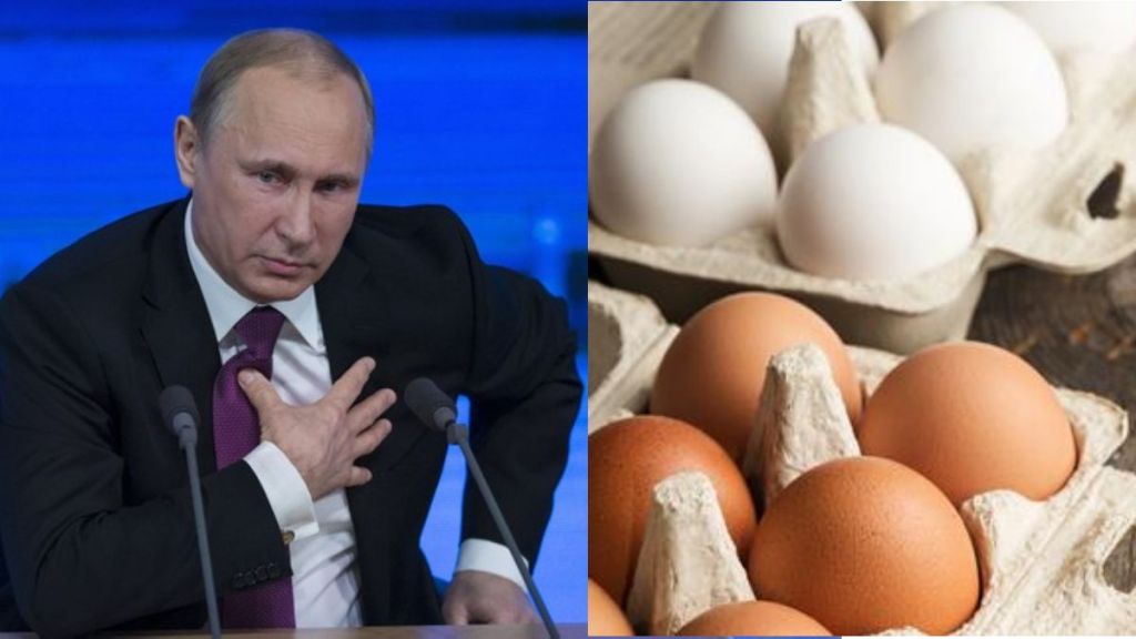 vladimir putin on egg price hike vladimir putin on egg price hike