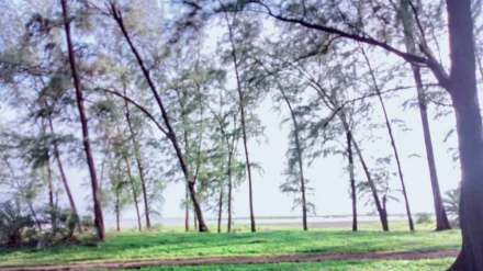 wadhavan port environment related public hearing postponed for 19th january