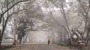 According to the information of the Meteorological Department there is a possibility of mild cold in the city of Mumbai news