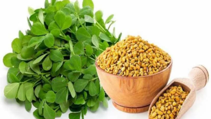 Why You Should Start Your Day With Fenugreek Seeds 