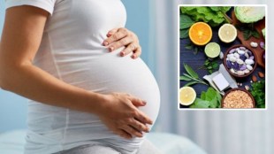 pregnant-women-four-nutrients-