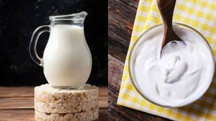 Buttermilk or Curd
