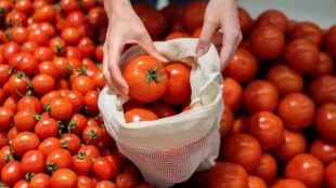 how to store tomatoes for long time