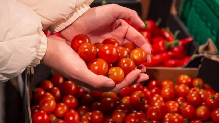 how to store tomatoes for long time