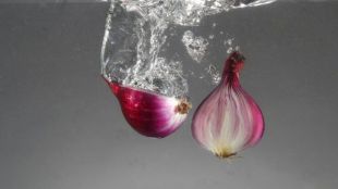 Why Onions Are Soaked In Cold Water After Cutting Them T