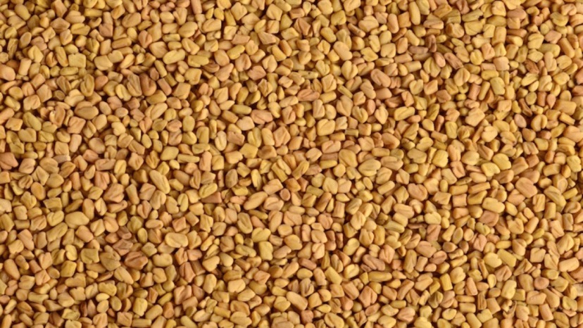 Why You Should Start Your Day With Fenugreek Seeds 