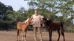 Recognition of Bhimathdi horse as official breed by Central Government