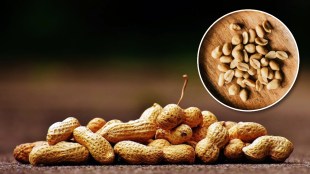 Disadvantages Of Eating Peanuts