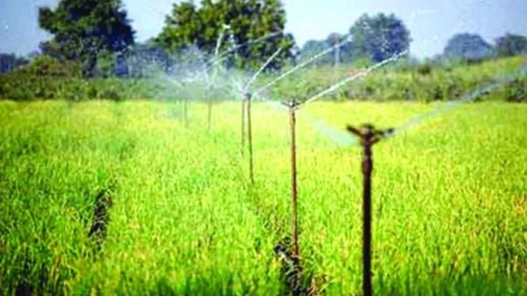 Irrigation from Kolhapuri dam in brackish aquifer 515 acres of land will come under irrigation