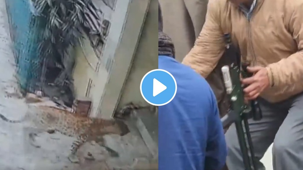 Leopard video Leopard video