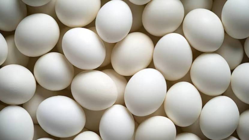 Should Eggs Be Kept In The Fridge Or Outside Know What Is The Right Way 