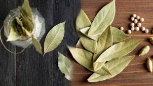 Drink Bay Leaf Water Daily And You Will Get Many Health Benefits