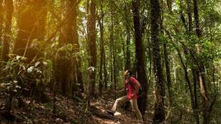 How to practice the Japanese concept of Shinrin yoku to escape burnout