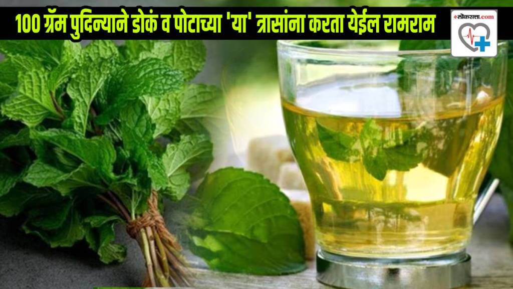 Pudina Detox 100-gram of peppermint leaves Helps To Release Nerves Digestion Doctor Explains Nutrition Calories In Pudina Leaves Pudina Detox 100-gram of peppermint leaves Helps To Release Nerves Digestion Doctor Explains Nutrition Calories In Pudina Leaves