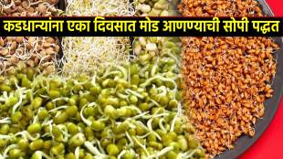 How to sprout Beans Kadhanyana mod kase anave how to grow long sprout at home simple trick to getlong sprout get plenty of nutrition
