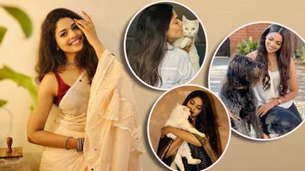 marathi actress animal lover Pooja Sawant Birthday special article