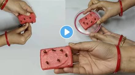 Kitchen Tips In Marathi Put Clove In Your Bath Soap And See Shocking Result Jugaad Video Kitchen Tips In Marathi Put Clove In Your Bath Soap And See Shocking Result Jugaad Video