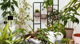Five Balcony Garden Tips Make your relaxing time more special now Give the that attractive look