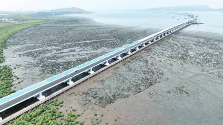 mumbai trans harbour link bridge