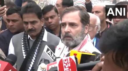 Congress MP Rahul Gandhi