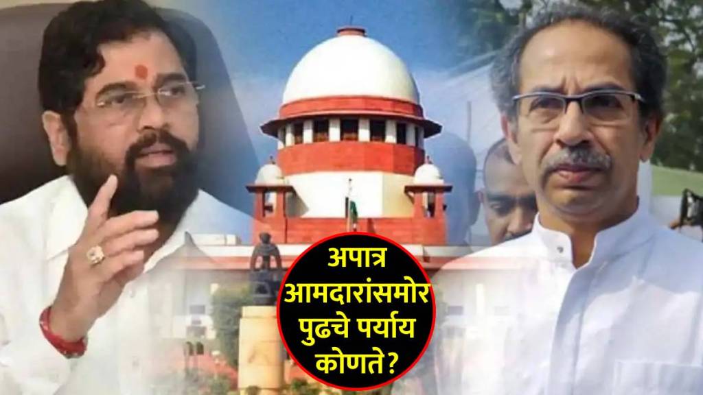 Rahul Narvekar Verdict on Shivsena 16 MLA Disqualification in Marathi