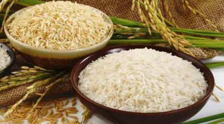 Rice-