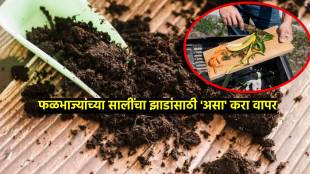 step by step guide to prepare fertilizer from kitchen waste how to make compost from organic waste at home