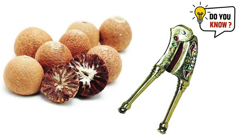 what is meaning of marathi word supari and adkitta bettle nut cutter and Betel Nuts know about this word history what is meaning of marathi word supari and adkitta bettle nut cutter and Betel Nuts know about this word history