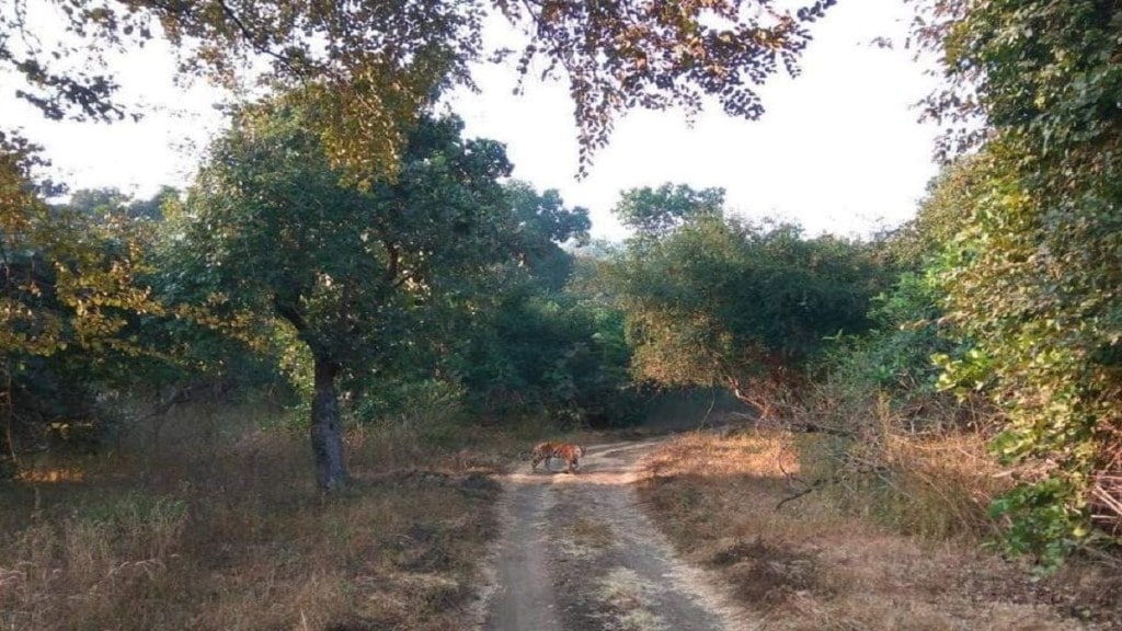 farmers Garamsur village
