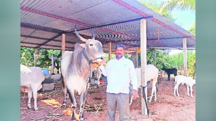 Animal husbandry healthy life Agriculture and Farmers Animal husbandry healthy life Agriculture and Farmers