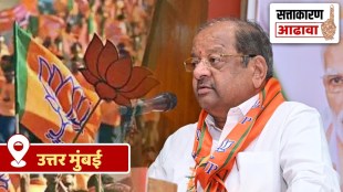 lok sabha constituency review amravati amravati loksabha election 2024, amravati navneet rana election bjp