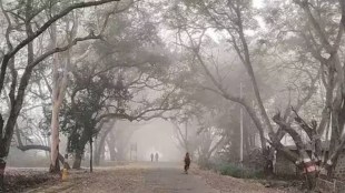 maharashtra winter update news in marathi, cold weather in maharashtra for next 4 days news in marathi