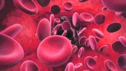 sickle cell anemia mumbai marathi news, sickle cell anemia maharashtra news sickle cell anemia mumbai marathi news, sickle cell anemia maharashtra news