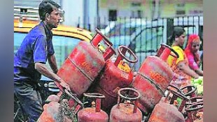 Government Grant in aid subsidy World Bank International platforms