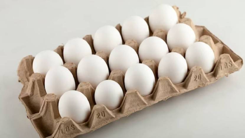 Should Eggs Be Kept In The Fridge Or Outside Know What Is The Right Way 
