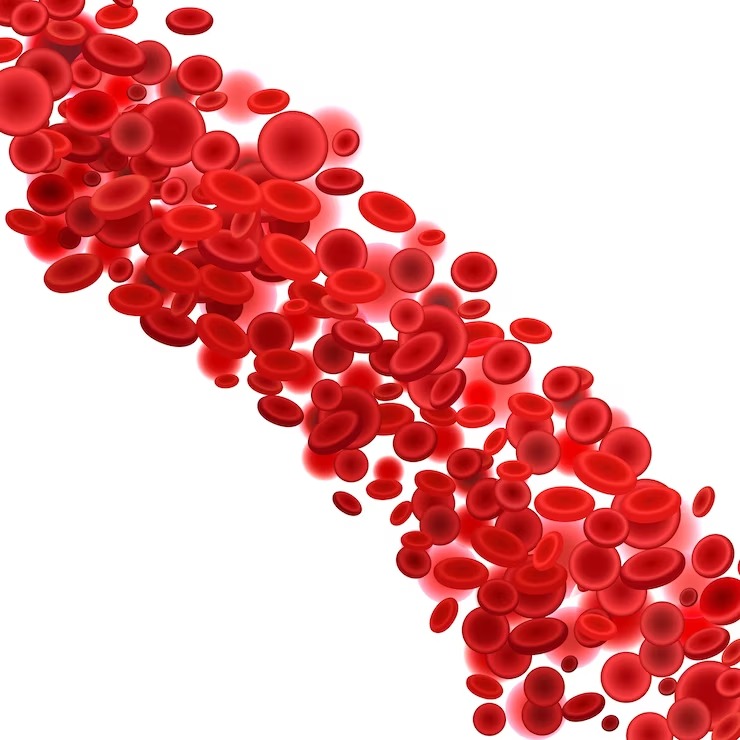 foods-for-healthy-blood-circulation