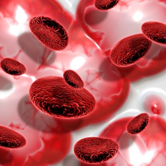 foods-for-healthy-blood-circulation