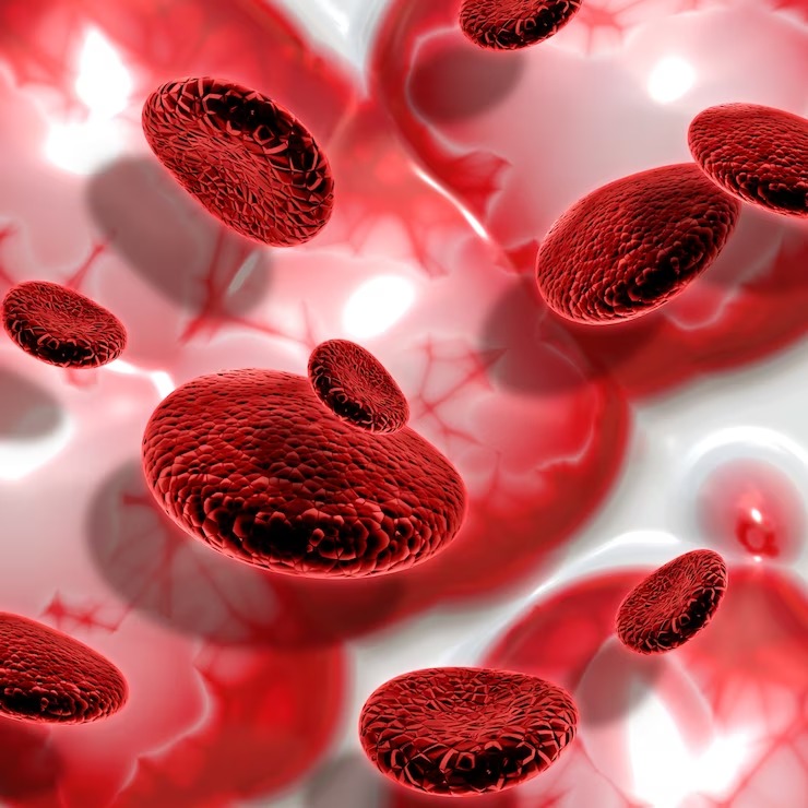 foods-for-healthy-blood-circulation