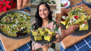 high protein and fiber healthy dhokla recipe