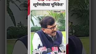 संजय राऊतांची देवेंद्र फडणवीसांवर बोचरी टीका | Sanjay Raut