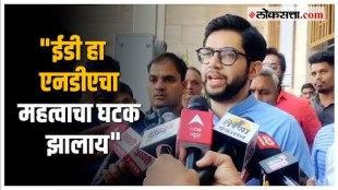 Aaditya Thackeray on ED: "पाकिस्तानमधली हुकुमशाही इकडे आलीये का?"; ईडीच्या कारवायांवर ठाकरेंचं विधान
