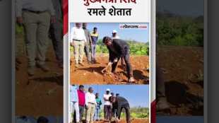Chief Minister Eknath Shinde working in own farm
