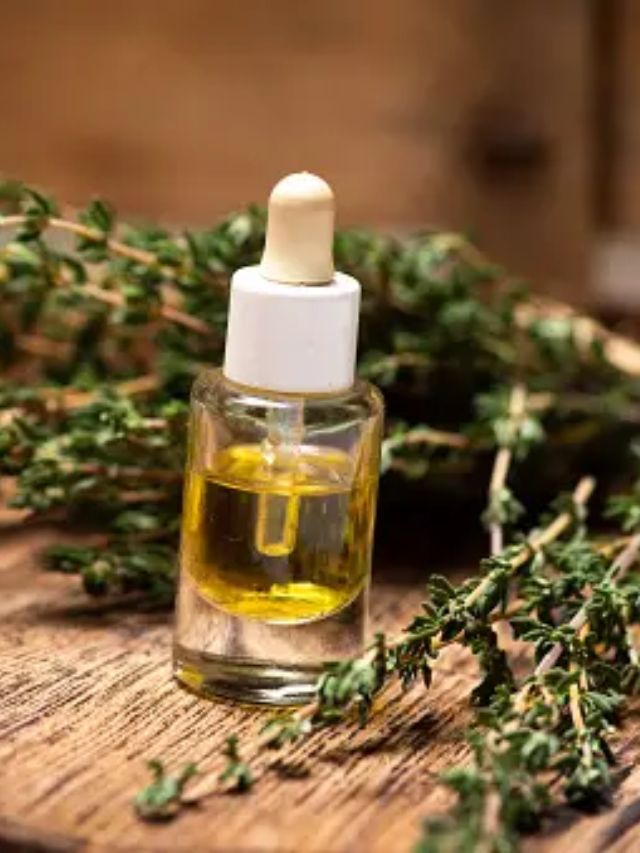 hair care tips for silky and shiny hair beauty tips gujarati news