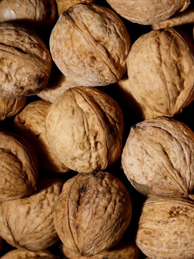 Health Benefits Walnut For Heart Mind Diabetes Cancer Control