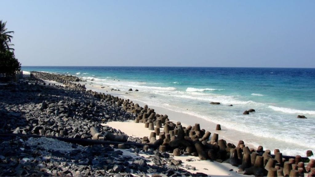 Lakshadweep 8 profitable business opportunities tips gujarati news