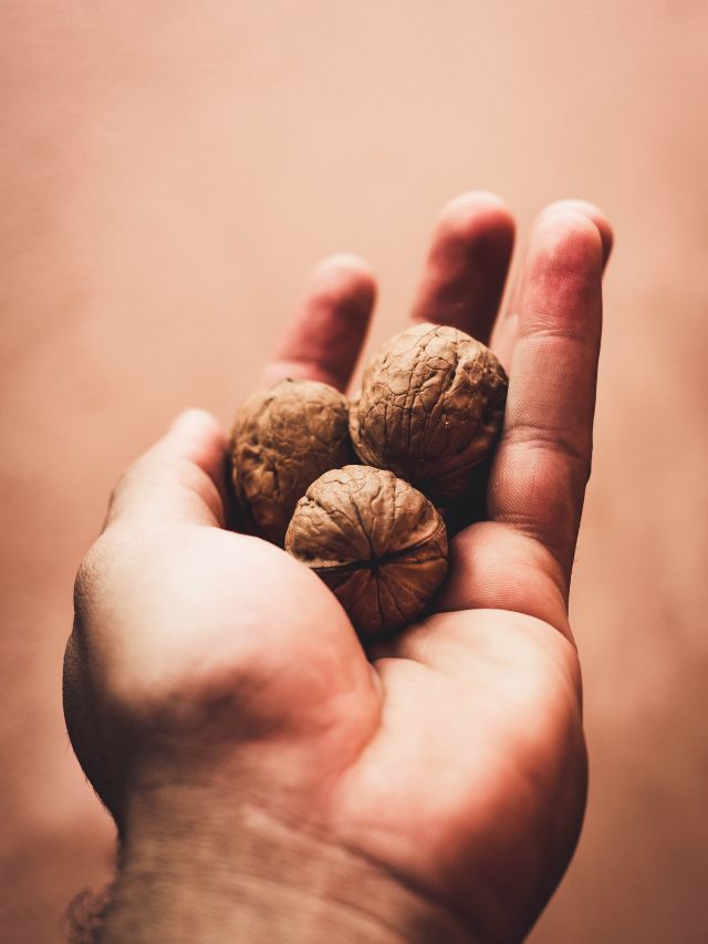 Health Benefits Walnut For Heart Mind Diabetes Cancer Control