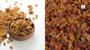 health benefits of soaked raisins health tips gujarati news